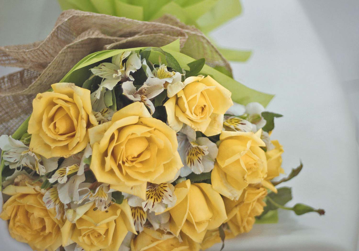 1-dozen-yellow-roses-with-alstroemeria